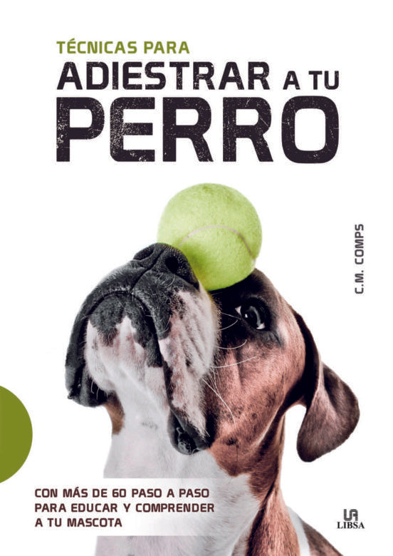 Técnicas para adiestrar a tu perro